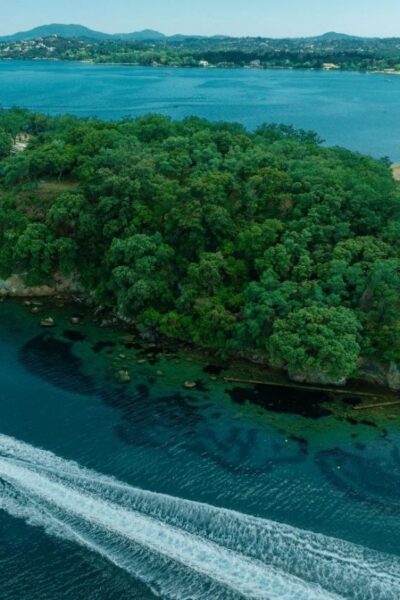 Private Half Day Cruise on Luxury Speed Boat