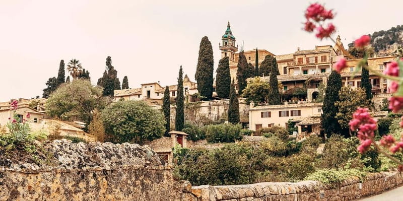 Mallorca: Puerto de Sóller and Valldemossa Morning Trip - Key Highlights You Will Actually Care About