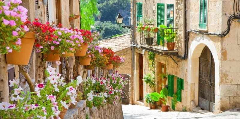 Mallorca: Puerto de Sóller and Valldemossa Morning Trip - Price and Value at About $46: What You Actually Get