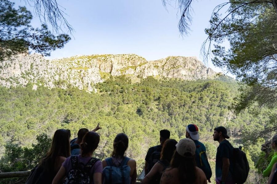 Mallorca : Reserva Park Entry ticket with Nature & animals - The 3.5 km Forest Trail: Panoramas, Caves, Waterfalls
