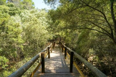 Reserva Park Entry ticket with Nature & animals