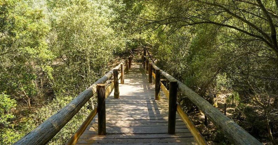 Mallorca : Reserva Park Entry ticket with Nature & animals - Zipline and Acrobatic Bridges: Fun, But Confirm Before You Commit