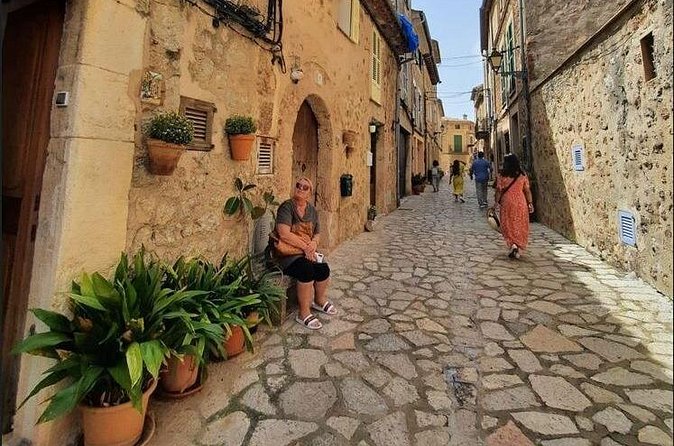 Mallorca's West Coast & Orange Valley Soller incl. pick-up North Coast - Orange Valley in action: 40 types of oranges, organic finca tastings, and jam samples