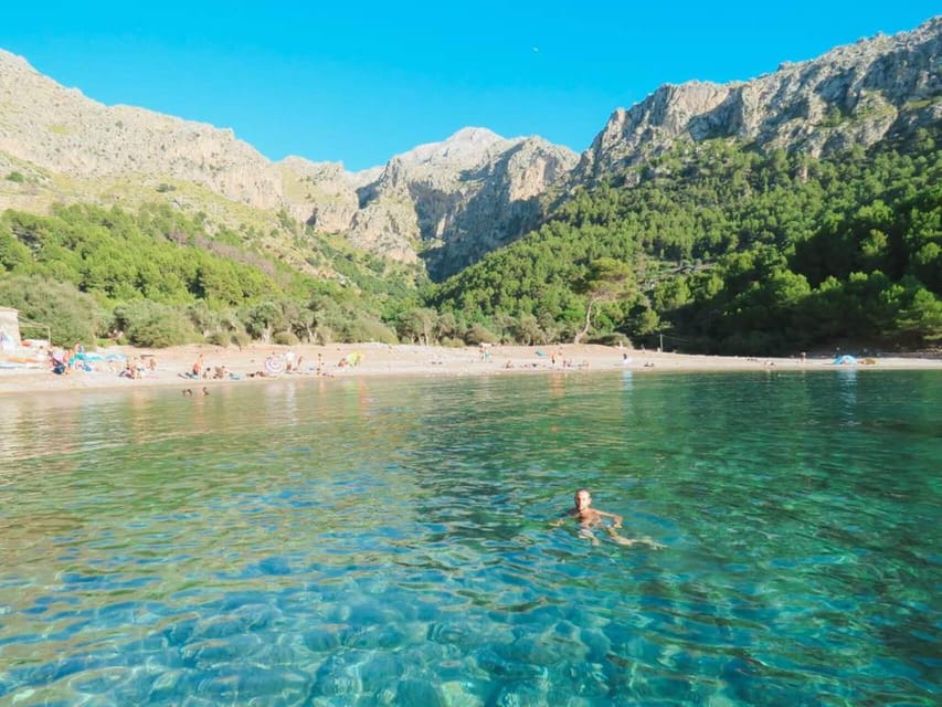 Mallorca: Sa Calobra / Cala Tuent with Snorkeling and SUP - The Picnic Reality: Plan Your Food, Then Enjoy the Stops