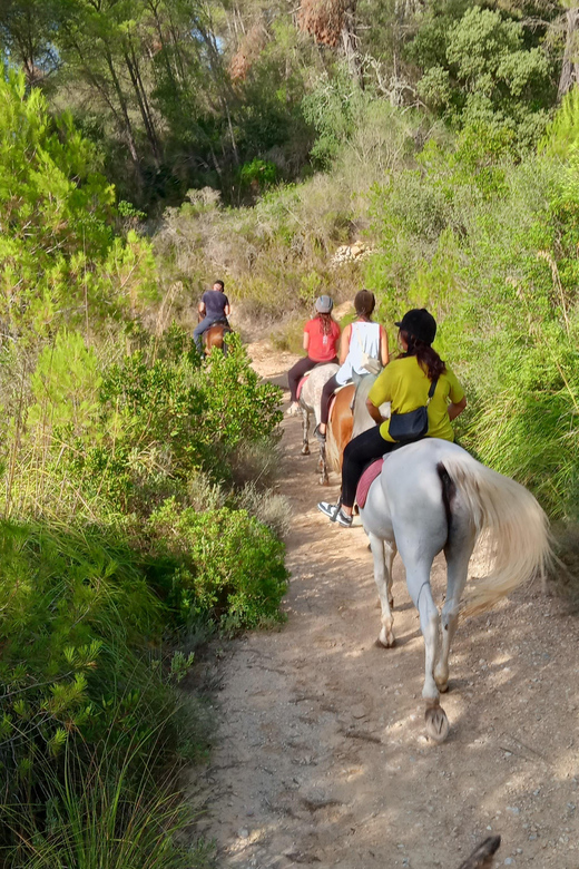 Mallorca: Scenic Horseback Ride & Traditional Picnic - Key Things That Make This Ride Worth Your Time