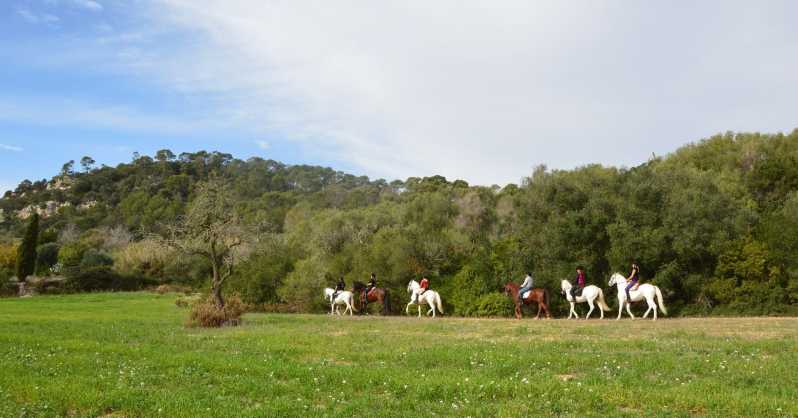 Mallorca: Scenic Horseback Ride & Traditional Picnic - Meeting Your Horse and Getting Ready the Right Way