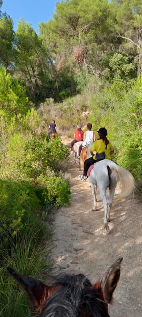 Mallorca: Scenic Horseback Ride & Traditional Picnic - Riding Through Mallorca’s Countryside in the Randa Valley