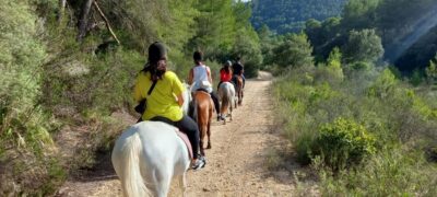 Scenic Horseback Ride & Traditional Picnic