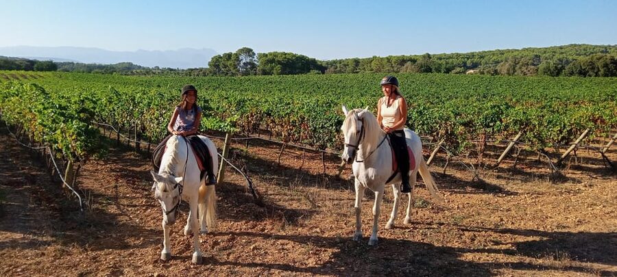 Mallorca: Scenic Horseback Ride & Traditional Picnic - The Arena Warm-Up, Tacked-Up Confidence, and Why It Matters