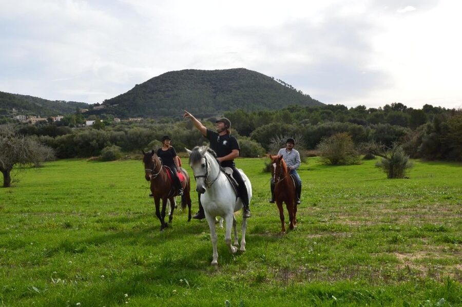 Mallorca: Scenic Horseback Ride & Traditional Picnic - What’s Included for $218, and When It’s Good Value