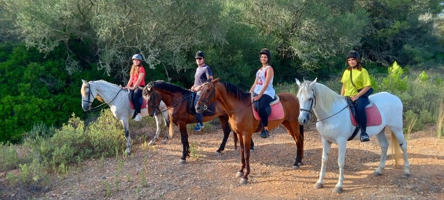Mallorca: Scenic Horseback Ride & Traditional Picnic - Group Size, Time, and How to Plan Your Half Day