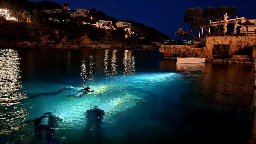 Mallorca: Scuba Diving for Beginners - Safety Briefing and Underwater Hand Signals That Keep You in Sync