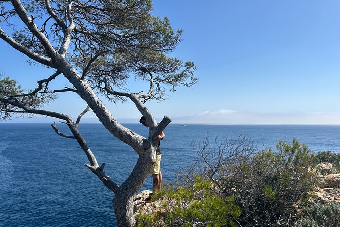 Mallorca Secret Coves Land Rover Private Tour - Price and group size, and what $523.60 per group really buys