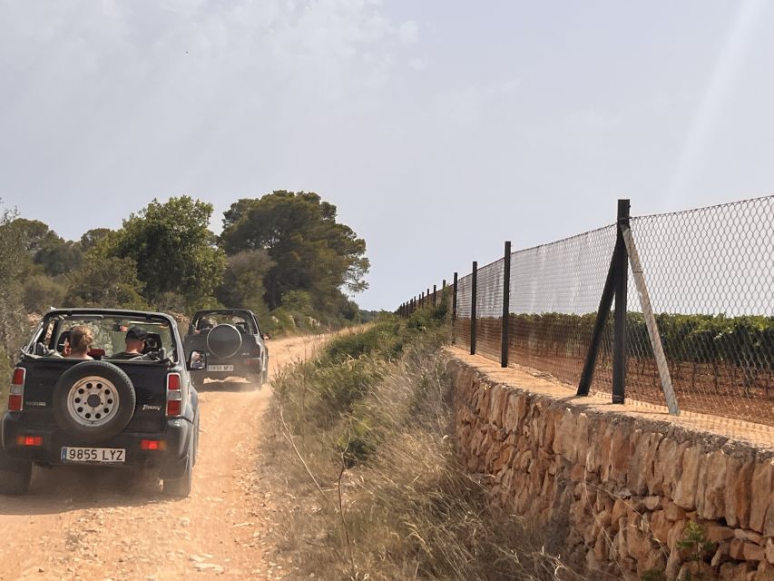 Mallorca: Self Drive 4x4 Jeepsafari Tour - Key Things I’d Focus On Before You Go