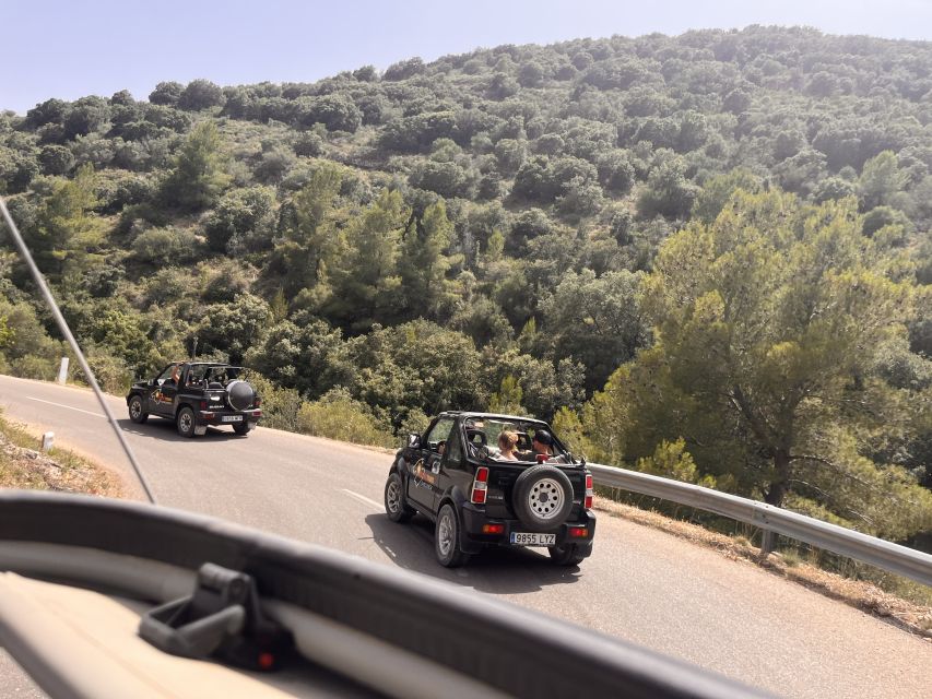 Mallorca: Self Drive 4x4 Jeepsafari Tour - Snorkelling and Underwater Life: Provided Gear Lowers the Barrier