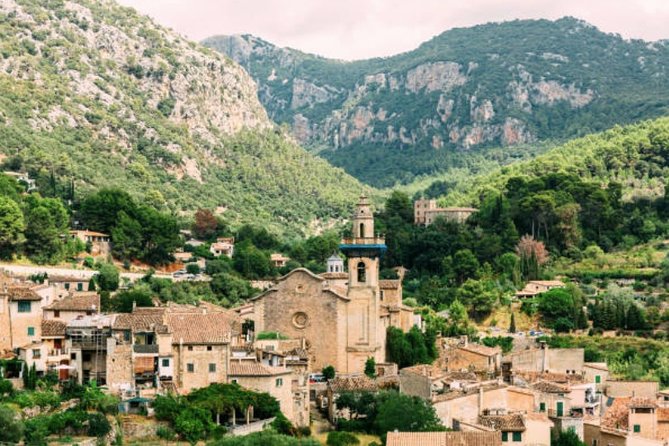 Mallorca Shore Excursion: Exclusive Soller and Valldemosa - The valley of Sóller, citrus trees you can actually notice