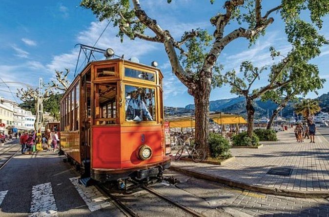 Mallorca Shore Excursion: Exclusive Soller and Valldemosa - Should you book this one?