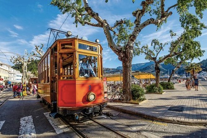 Mallorca Shore Excursion: Exclusive Soller and Valldemosa - Coastal road to Deia and Llucalcari, plus named viewpoints you can look for