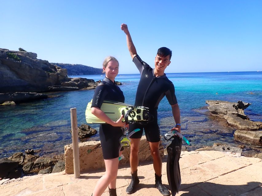 Mallorca: Snorkeling in a Beautiful Nature Reserve - Marine life you can expect in Mallorca’s protected waters
