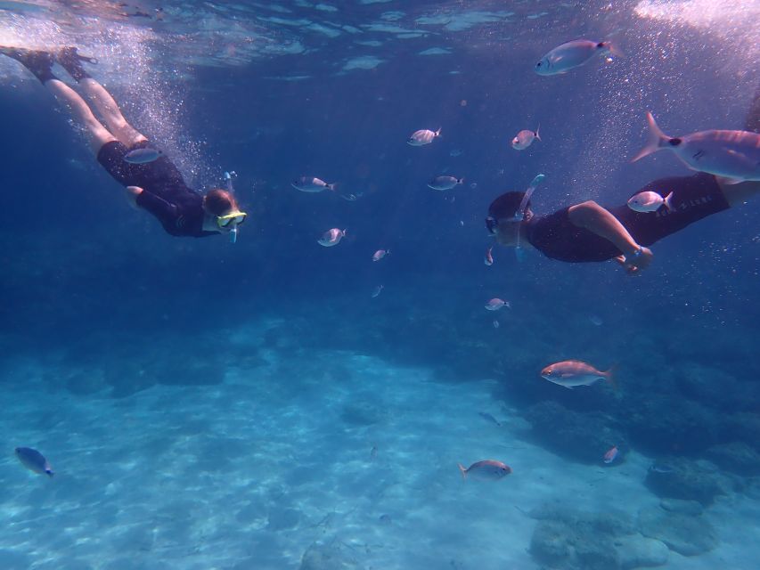 Mallorca: Snorkeling in a Beautiful Nature Reserve - Where you start: meeting points, pickup, and the timing that matters