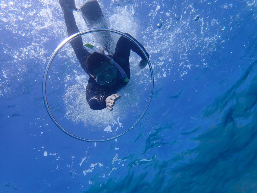 Mallorca: Snorkeling in a Beautiful Nature Reserve - Best for first-timers, and best for families
