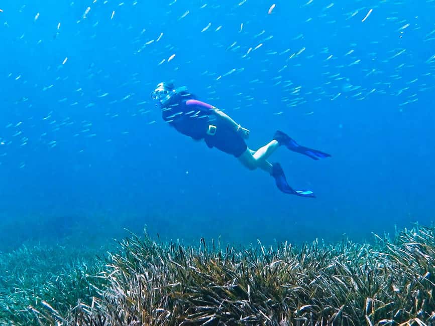 Mallorca: Snorkeling tour with diving instructor from a boat - Cap de Formentor - A few watch-outs: short time, bay variability, and staff energy