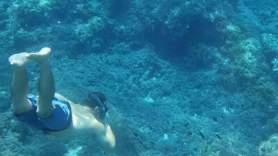 Sóller Boat Tour with Snorkeling and Snacks