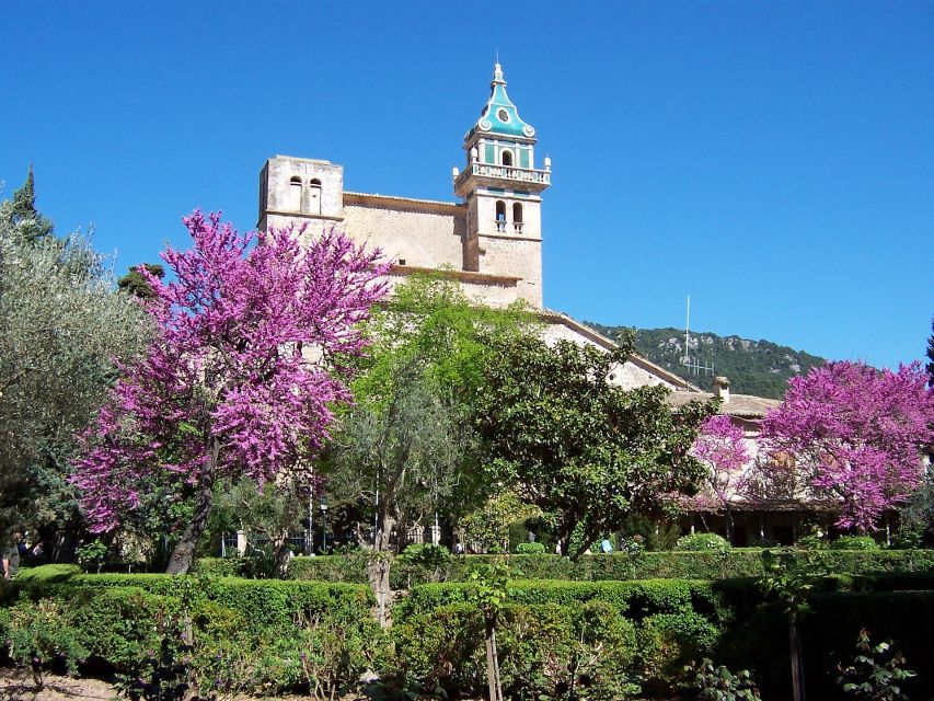 Mallorca: Soller Port and Valldemossa - Valldemossa: guided history in Mallorca’s Sierra de Tramuntana town