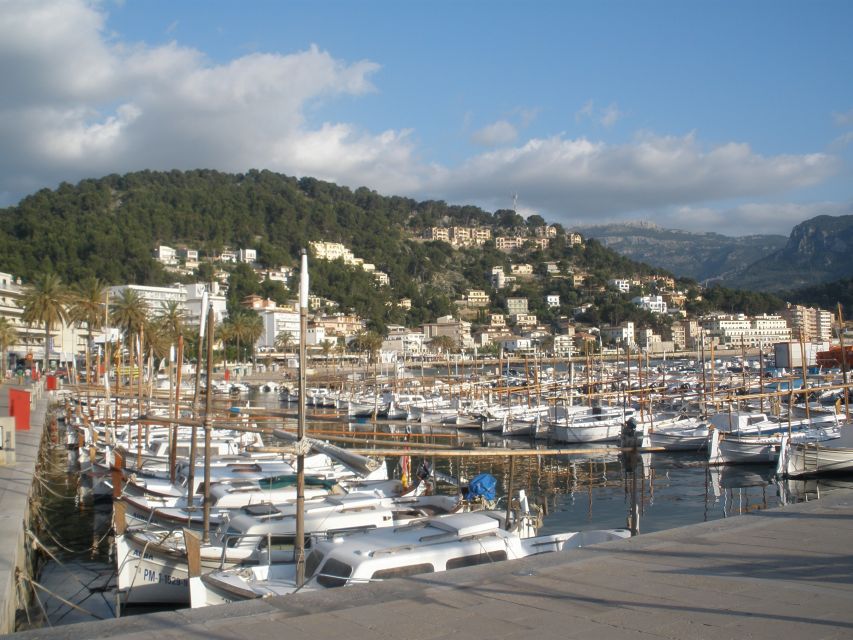 Mallorca: Soller Port and Valldemossa - Should you book the Mallorca Valldemossa and Soller Port half-day tour?