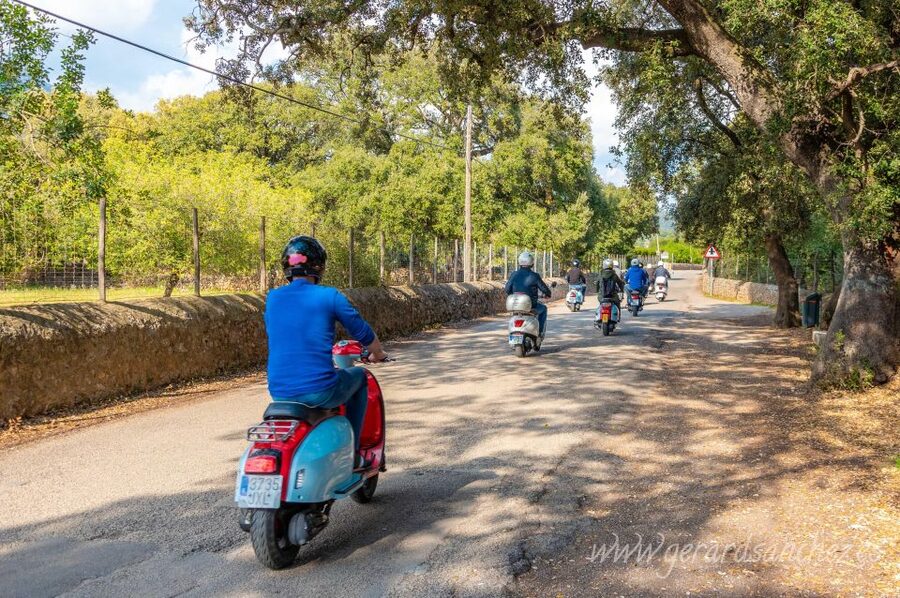 Mallorca: Southwest Mountains, Villages, & Sea Scooter Tour - Calvià and the return along the waterfront: sea views without the traffic circus