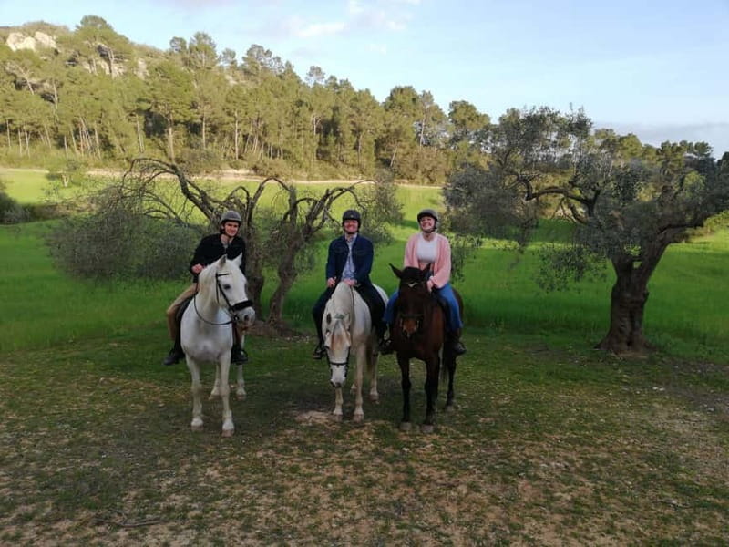 Mallorca: Sunset Horse Ride, Horse Show & Falconry - Key highlights worth planning for