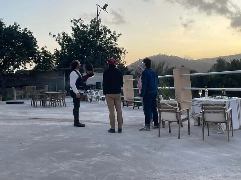 Mallorca: Sunset Horse Ride, Horse Show & Falconry - Why the Randa Valley sunset ride works so well