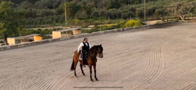 Sunset Horse Ride, Horse Show & Falconry