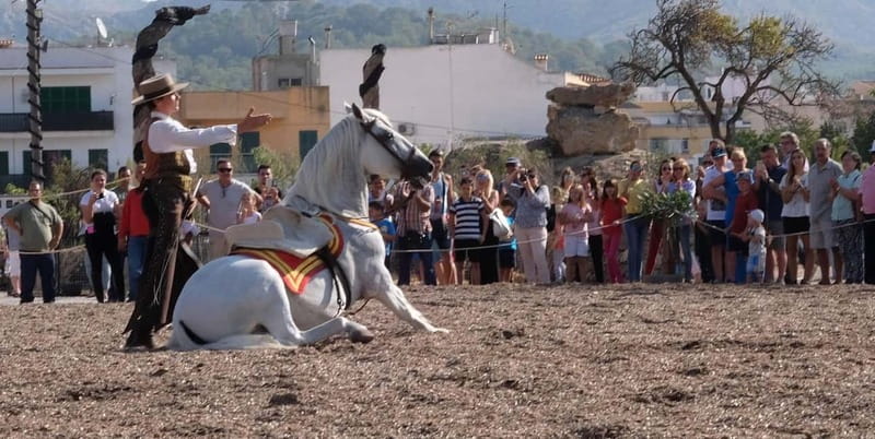 Mallorca: Sunset Horse Ride, Horse Show & Falconry - Equestrian exhibition after your ride: Spanish High Riding School energy