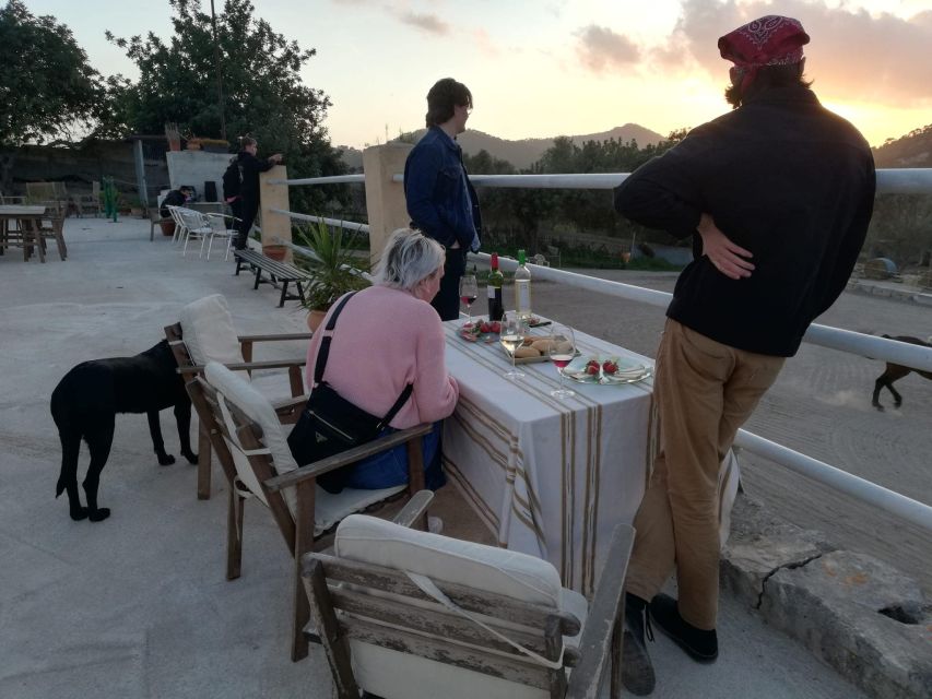 Mallorca: Sunset Horse Ride, Horse Show & Falconry - Drinks and a traditional tasting: how the ending feels
