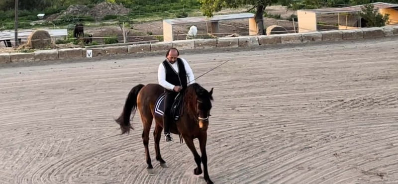 Mallorca: Sunset Horse Ride, Horse Show & Falconry - Helmet, insurance, and the safety basics that matter