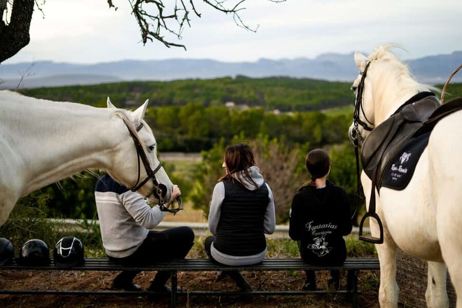 Mallorca: Sunset Horseback Ride with Drinks - Randa Valley Sunset Ride: what the 3.5 hours feel like