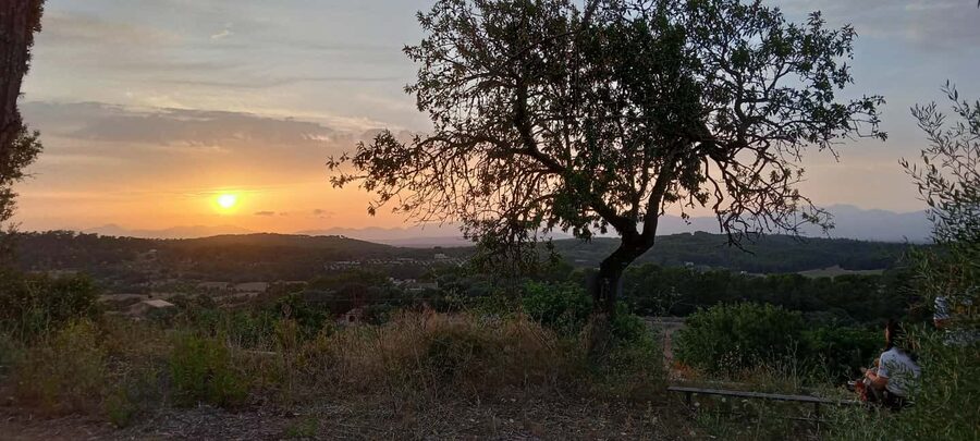 Mallorca: Sunset Horseback Ride with Drinks - Sunset stop with wine, cava, or soft drinks