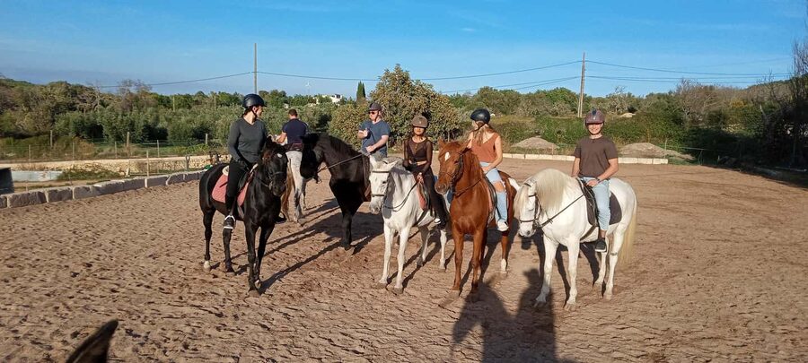 Mallorca: Sunset Horseback Ride with Drinks - Andalusian horses, safety, and how the tour fits your body