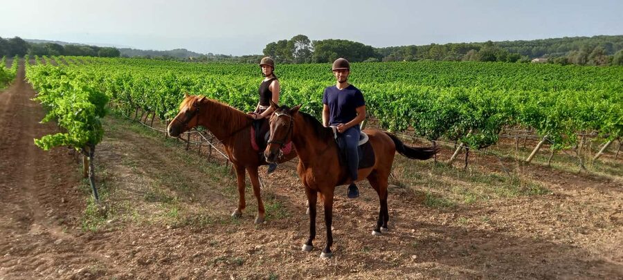 Mallorca: Sunset Horseback Ride with Drinks - What to wear for comfort (and fewer surprises)
