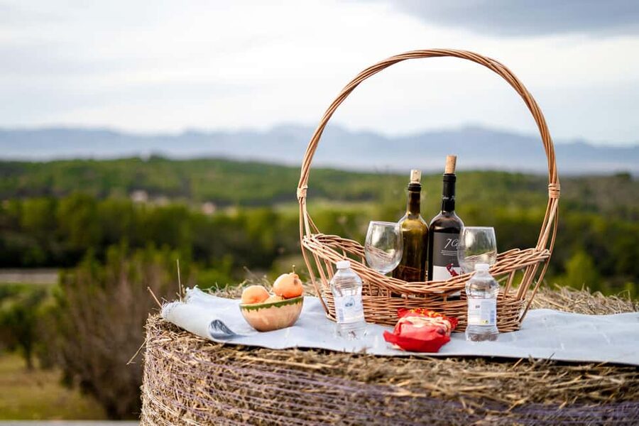 Mallorca: Sunset Horseback Ride with Drinks - Mallorca Horses Center check-in: meet your guide and your horse