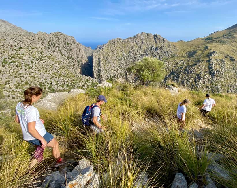 Mallorca: Torrent de Pareis trekking Adventure - Meeting points and the Sa Calobra taxi detail that trips people up