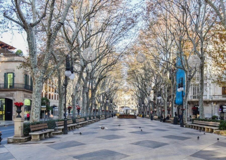 Mallorca: Transfer to Palma self-guided Tour - Getting Your Bearings in Palma Without Losing Your Morning