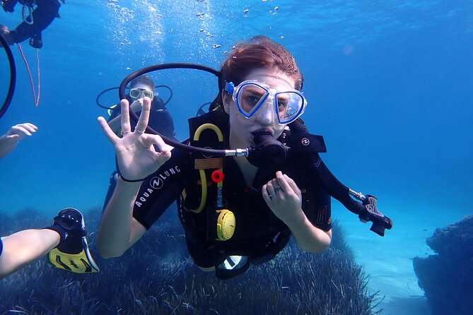 Mallorca: Try Scuba Diving in a Beautiful Nature Reserve - Key highlights I’d lock in before you go