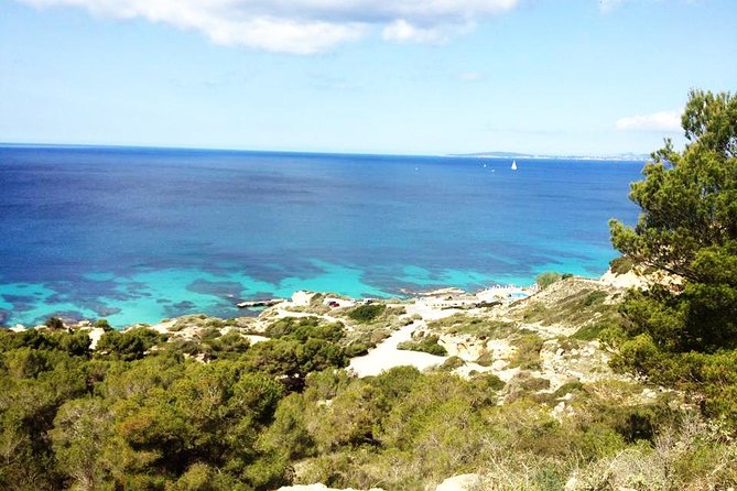 Mallorca: Try Scuba Diving in a Beautiful Nature Reserve - Why Cala Delta Bay feels right for a first scuba try