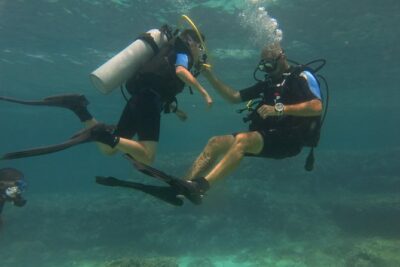 Try Scuba Diving in a Beautiful Nature Reserve