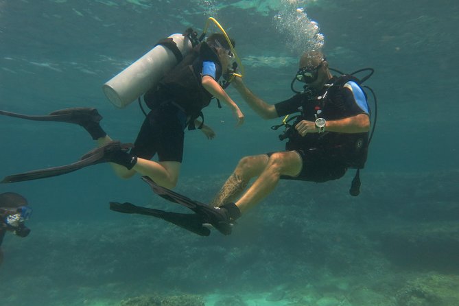 Mallorca: Try Scuba Diving in a Beautiful Nature Reserve - Before you enter the water: the briefing and practice that matter