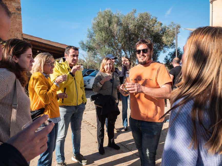 Mallorca: Visit a winery and enjoy a wine tasting, along with some Mallorcan products - Should you book the 7103 petit celler experience?