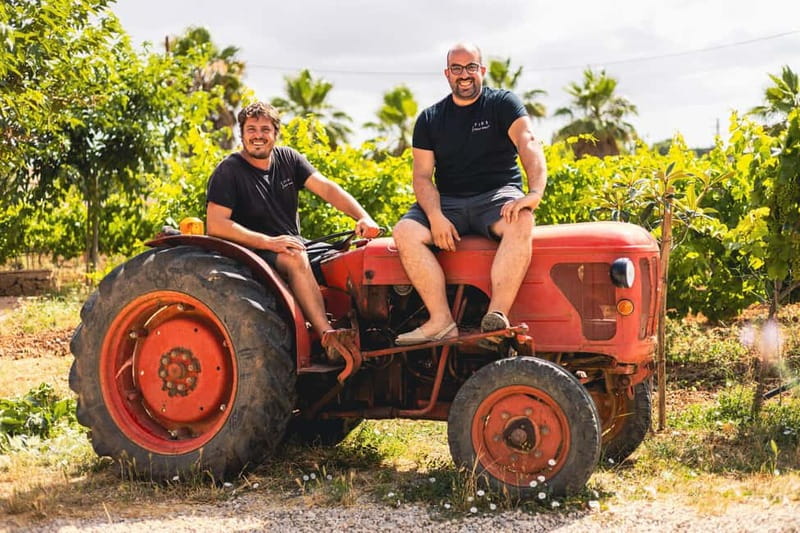 Mallorca: Visit a winery and enjoy a wine tasting, along with some Mallorcan products - Vineyard time in Pla de Buc: the part that makes the wines make sense