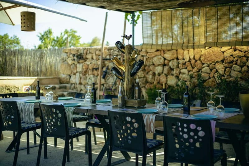 Mallorca: Visit a winery and enjoy a wine tasting, along with some Mallorcan products - The 7103 petit celler winery visit: small estate energy, real people